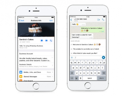 WhatsApp Business App Coming to the iPhone