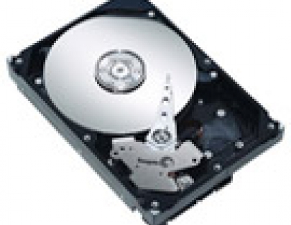 Seagate ST380811AS