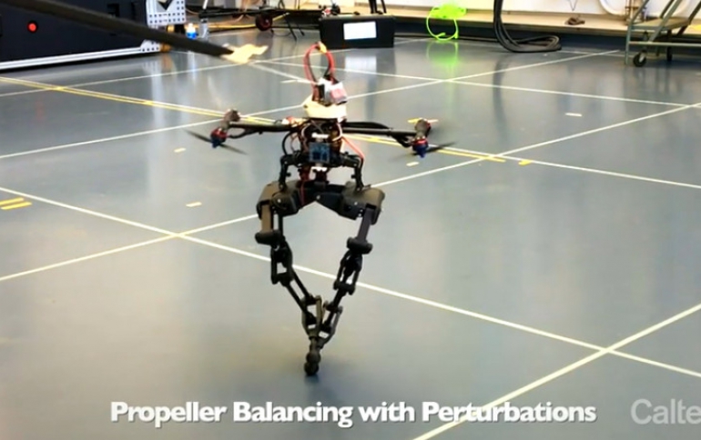 Caltech’s LEONARDO is a Birdlike Robot That Floats on Two Legs