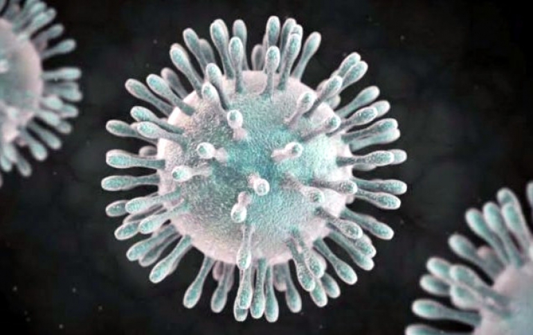 Facebook and IBM Cancel San Francisco Appearances on Coronavirus Fears