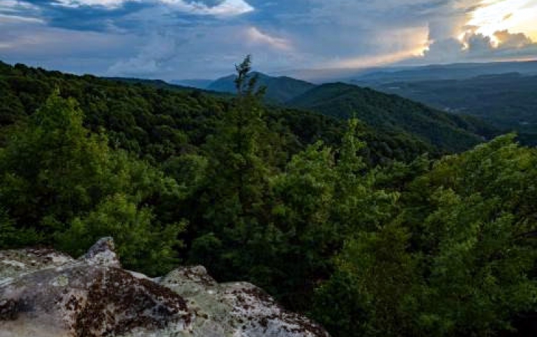 Amazon Commits $10 Million to Restore and Conserve 4 Million Acres of Forest