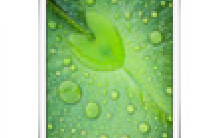 Apple iPad Mini With Retina Screen Available For Sale